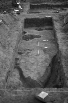 Newhall Point excavation archive
Frame 33: Trench D, looking S.