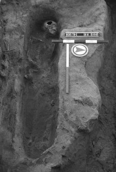 Newhall Point excavation archive
Frame 14: Trench C: Skeleton 8: Grave G24.
