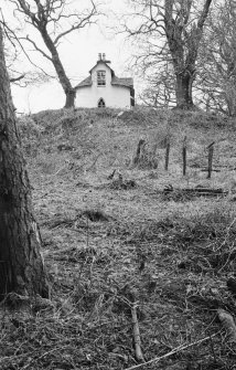 View of cottage by walled garden, Parton House, from S looking up.