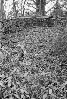 General view of the remains of ice house, Parton House.