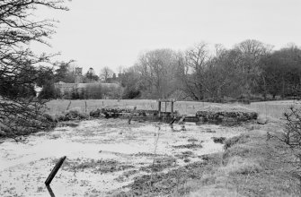 View of Gelston Castle saw mill  from S showing sluice and dam.