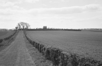 Distant view of Whitsome Old Parish Churchyard.