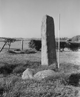 View of standing stone from S.