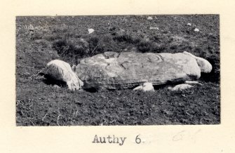 Photo, copied from '495' card