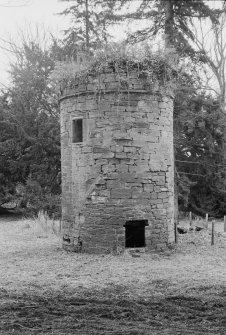 General view of the remains of Dalswinton Old House.