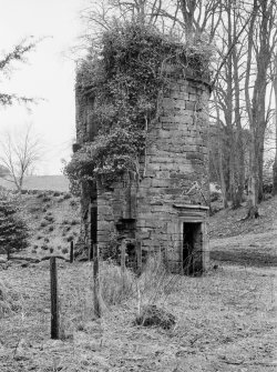 General view of the remains of Dalswinton Old House.