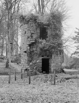 General view of the remains of Dalswinton Old House.