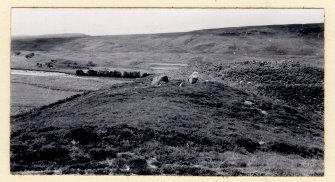 Photograph, copied from OS '495' card