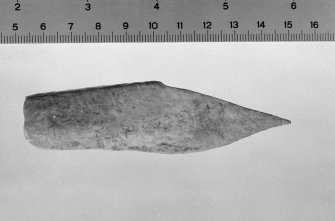 Bone point held in the National Museum, recovered in the 1890s