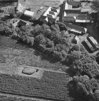 Oblique aerial view centred on the souterrain at Tealing.