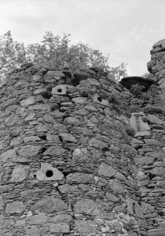 Detail of stonework, Terpersie Castle.