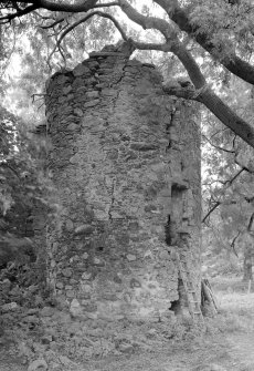 View of circular tower, Terpersie Castle.