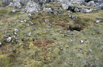 Eigg, Struidh, Ritual Enclosure. View of enclosure and chamber entrance from W.