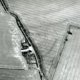Oblqiue aerial view of the cropmarking of the fort at West Mains.