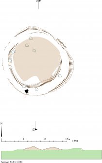 HES Survey and Recording Illustration: Plan of Fullerton. 