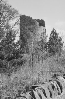 General view of Melville House dovecot.