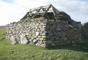 Henhouse, view from SE