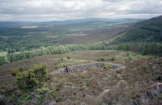 Milton Burn; view of sheep shelter and pen.