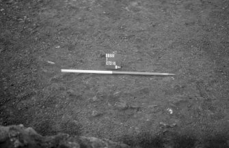 Excavation photograph : top fill of pit 400, looking west.