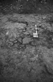 Excavation photograph