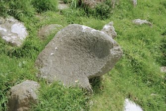 Muck, Caisteal an Duin Bhain. Saddle Quern (NM 4215 7866).