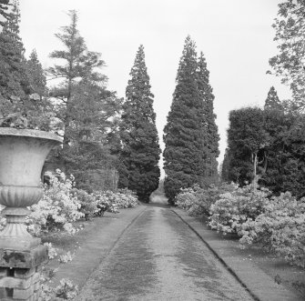 View of avenue in garden.