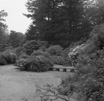 General view of garden.