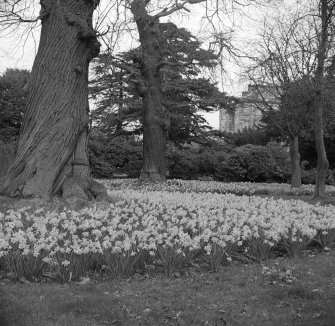 View of garden with house in distance