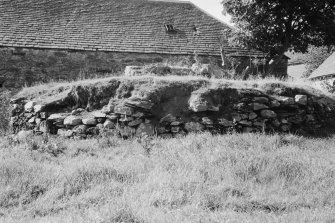 View of the remains of an open air horsemill, Blaranrash.
