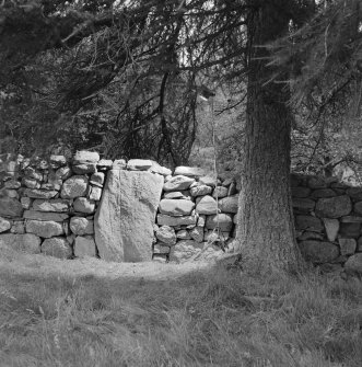 View of the Pictish symbol stone from Ballintomb, now at Finlarig.
 
