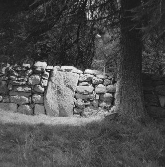 View of the Pictish symbol stone from Ballintomb, now at Finlarig.
 
