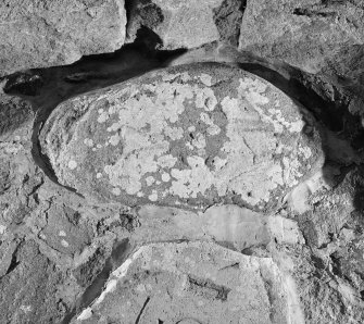 View of Pictish symbol stone, incised with a fish, known as Dunnicaer or Stonehaven no. 2.