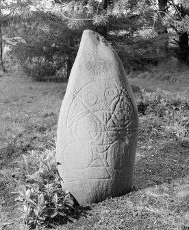 View of face of the Logie Elphinstone Pictish symbol stone no.2 with ogham inscription.