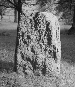 View of face of the Logie Elphinstone Pictish symbol stone no.3.