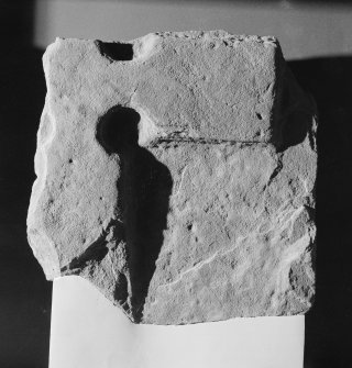 View of the cross-slab fragment Tarbat 34 at Portmahomack.
 
