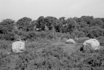Ballymichael four poster stone circle, from S