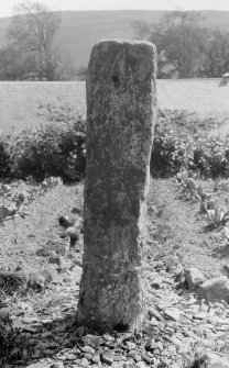 View of Borthwick symbol stone