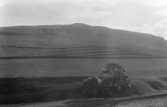 General view of cultivation terraces at Greenhill, Hownam