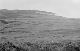 General view of cultivation terraces at Greenhill, Hownam