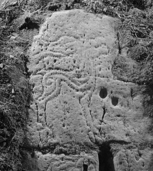 Detail of stag carved on a rock face, possibly Pictish, at Eggerness, Garlieston.