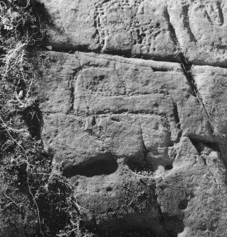 Detail of carved rock face at Eggerness, Garlieston.