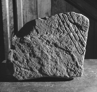 View of face of Pictish Symbol stone fragment from Kintradwell, now in Dunrobin Museum.