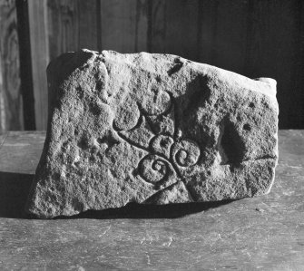 View of face of Pictish Symbol stone fragment from Littleferry Links, now in Dunrobin Museum.