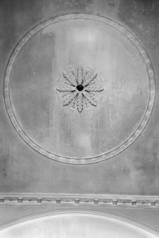 Interior view of Ramsay Guest House, Castle Street, Montrose, showing detail of entrance hall ceiling rose.