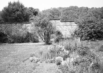 General view of garden.