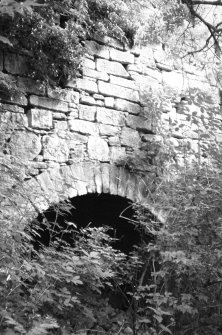 General view of kiln.