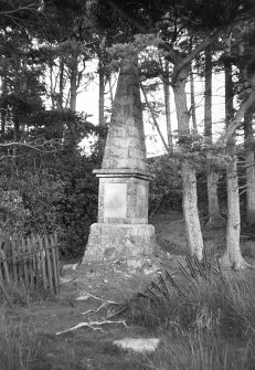 General view of obelisk.