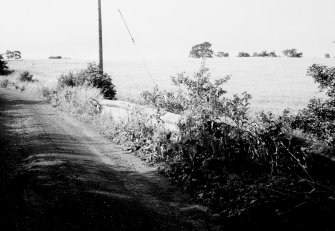 General view along bridge