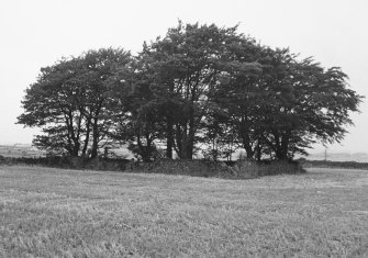 Aberdeen, Kingswells, Friends Burial Ground.
General view.
