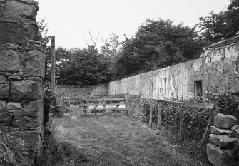 View of garden walls.